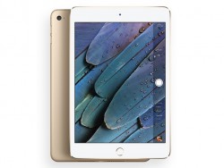 Máy Tính Bảng iPad Mini 4 - 32GB - Wifi/4G - Gray/White/Gold Like New_2